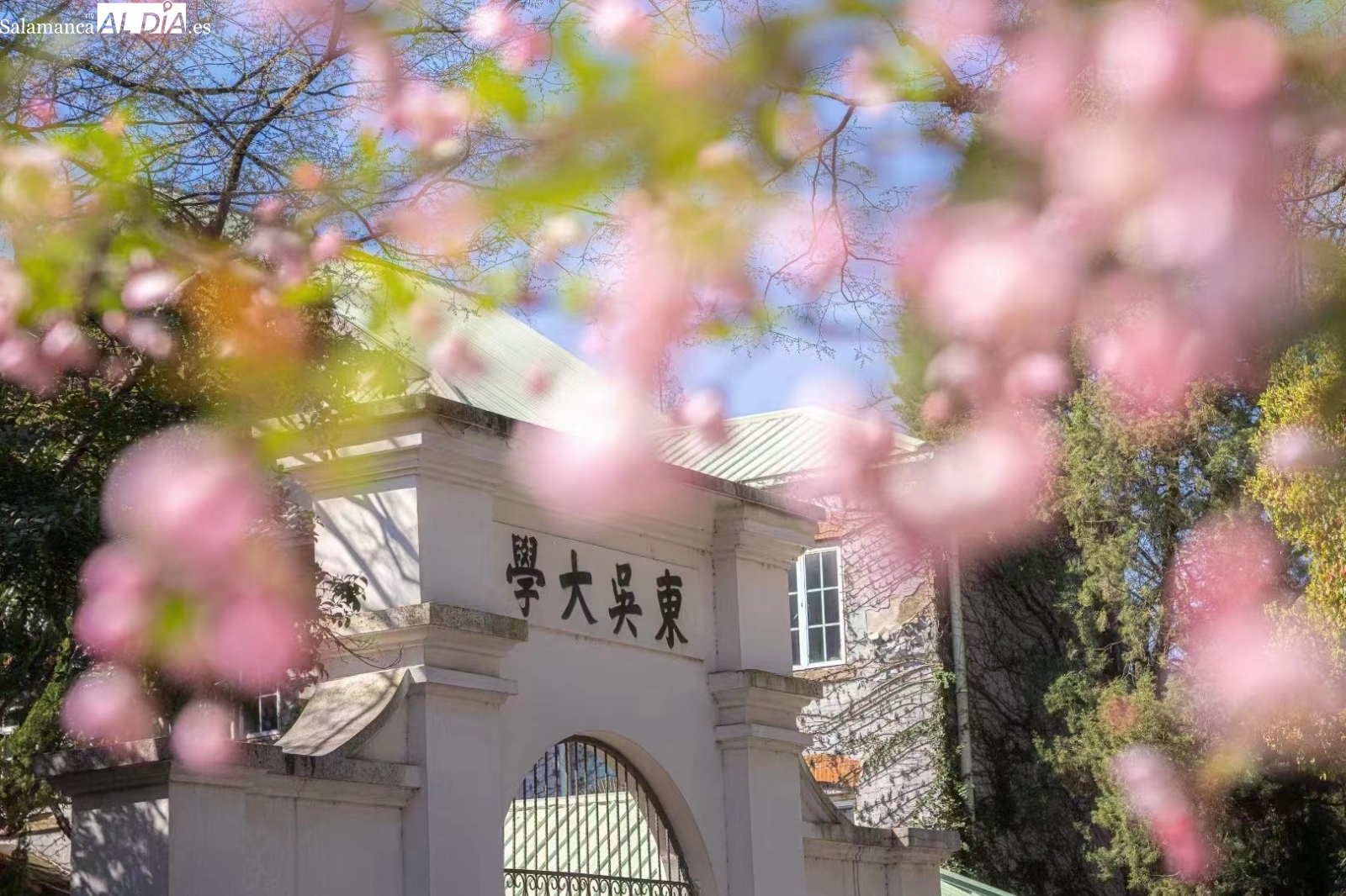 En México de vuelta