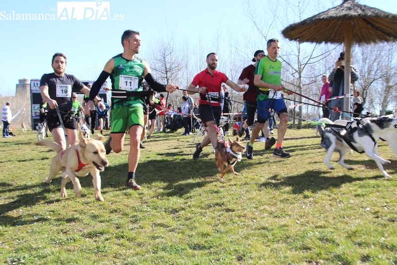 El Canicross reúne a cien participantes en Alba de Tormes