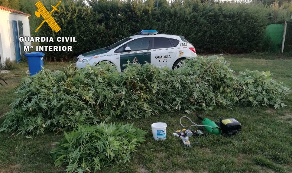 Nueve meses de prisión para los responsables de la asociación que cultivaba marihuana en Salamanca
