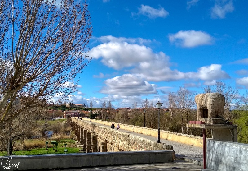 Cuando la mañana te alegra el resto del día 