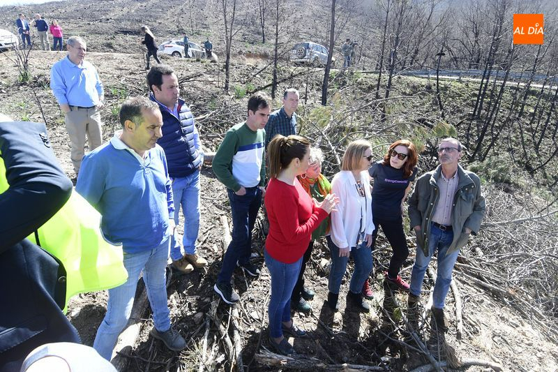 La CHD ejecuta 2.800 albarradas y coloca 18.000 plantas en la zona afectada por el incendio de Monsagro