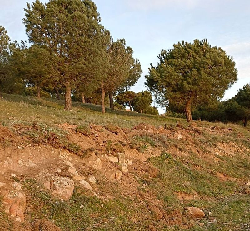 Protesta por la maquinaria que está actuando en el valle y una de las laderas del Zurguén