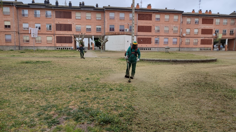 Empleados del Ayuntamiento de Vitigudino proceden a la limpieza arbustiva del casco urbano