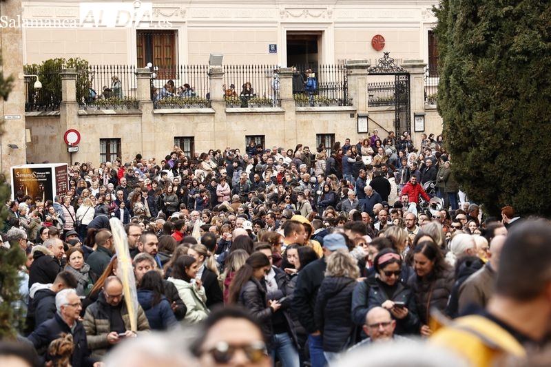 Numeroso público arropa la estación penitencial de la Archicofradía del Rosario