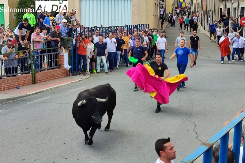 Quiebros y gran ambiente para un multitudinario I Toro de la Misericordia en Cantalapiedra