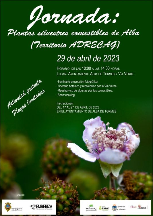 Jornada gratuita sobre plantas silvestres, gastronomía y senderismo por Vía Verde