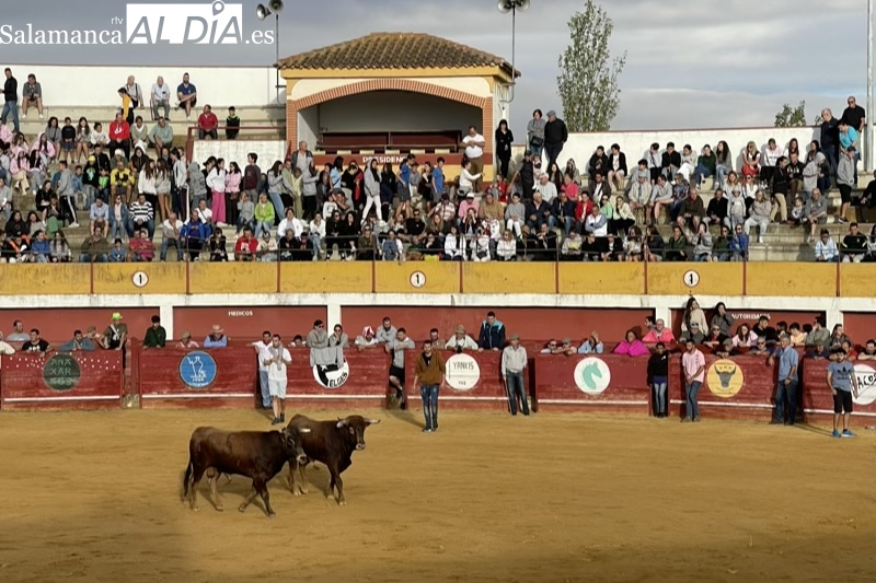 La Asociación Media Verónica y el Ayuntamiento de Macotera organizan un festejo popular el 6 de mayo