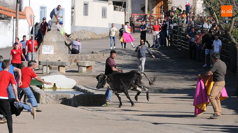 Saelices el Chico dará arranque este sábado a sus fiestas de la Santa Cruz