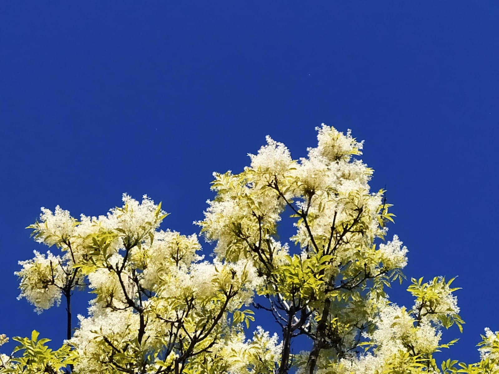 Los libros se me pegan a las manos