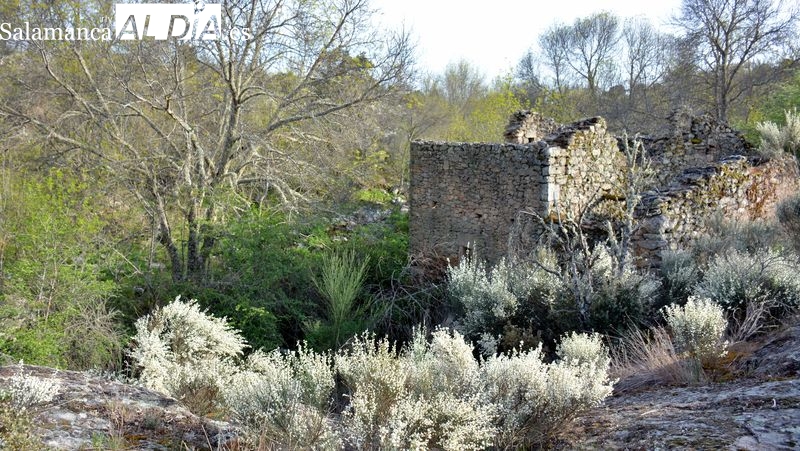 Ampliado el plazo para apuntarse a la marcha de Lumbrales Por los molinos del Camaces