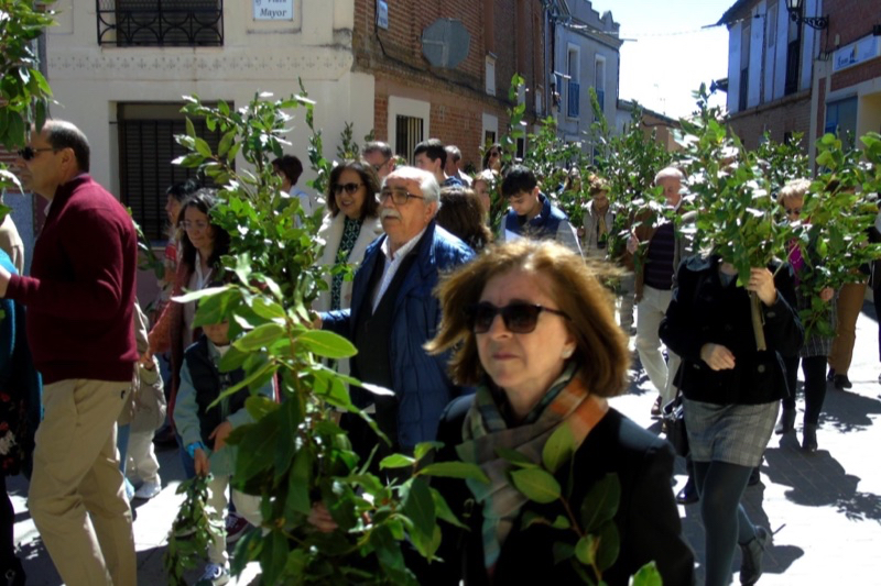 Multitudinario Domingo de Ramos en las calles de Macotera