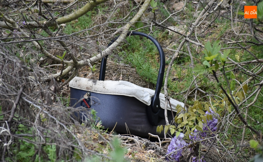 1Foto: Alguien tiró un cuco