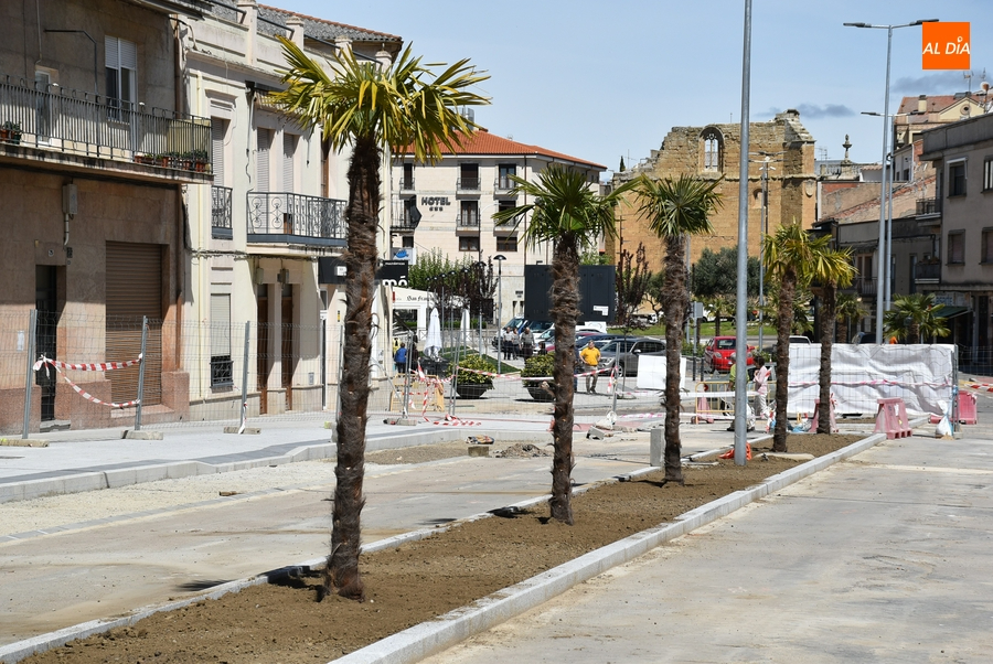 Plantadas las palmeras del segundo tramo en obras de la Avenida de España