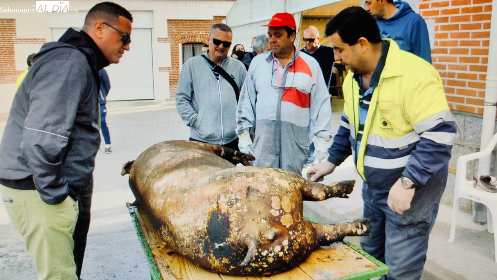 Cantaracillo celebra su VI Matanza Típica