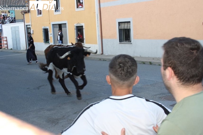 Villoria, abarrotada para vivir el esperado Toro del Voto