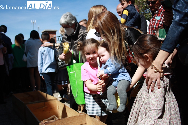 Multitudinaria participación en la tradicional procesión del vela en Peñaranda