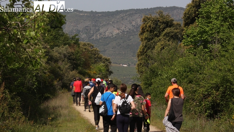 El Banco de Alimentos, objetivo solidario de la Marcha senderista de Saucelle