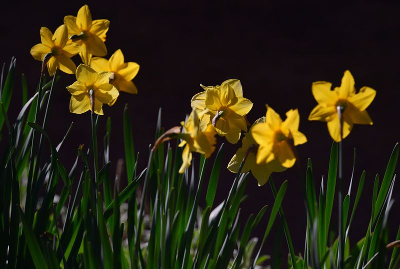 Colores que sonríen