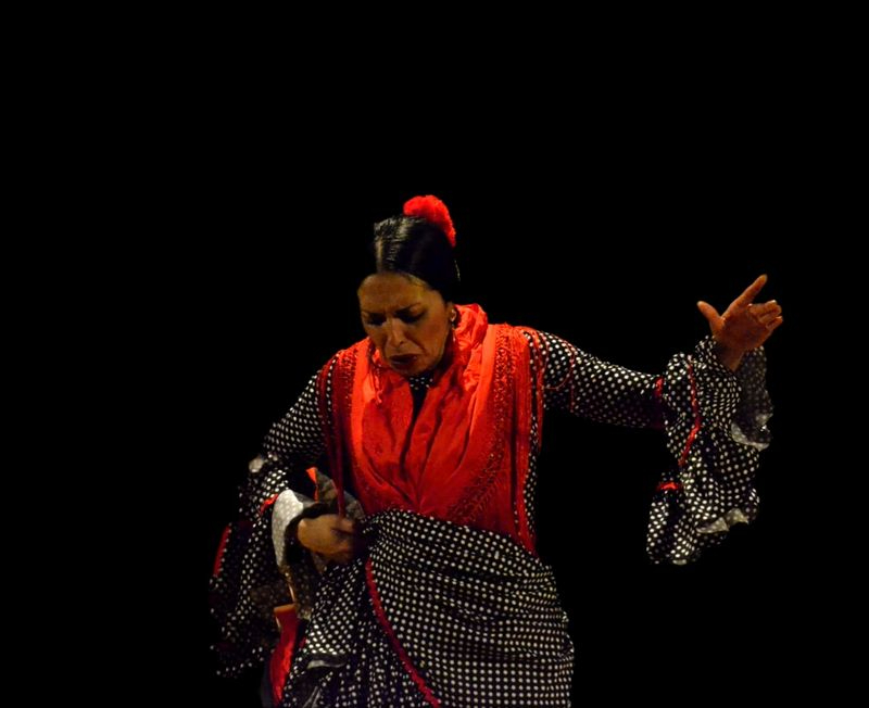 Éxito del espectáculo Aromalí en Santa Marta 