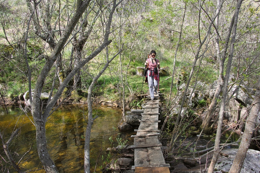 Los Caminos del Agua