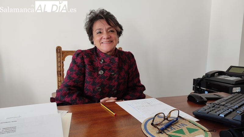 Tenemos dos propuestas de negocio en el polígono, un hotel y un centro comercial