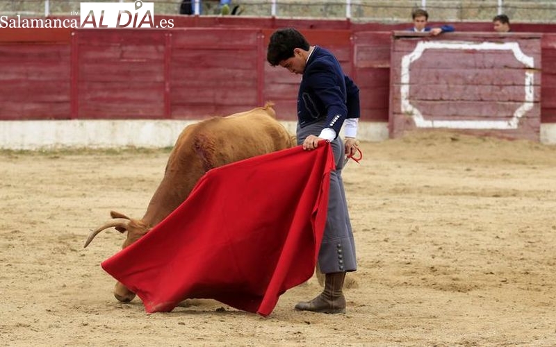 La fechas y horarios de los tentaderos del Bolsín de Ledesma