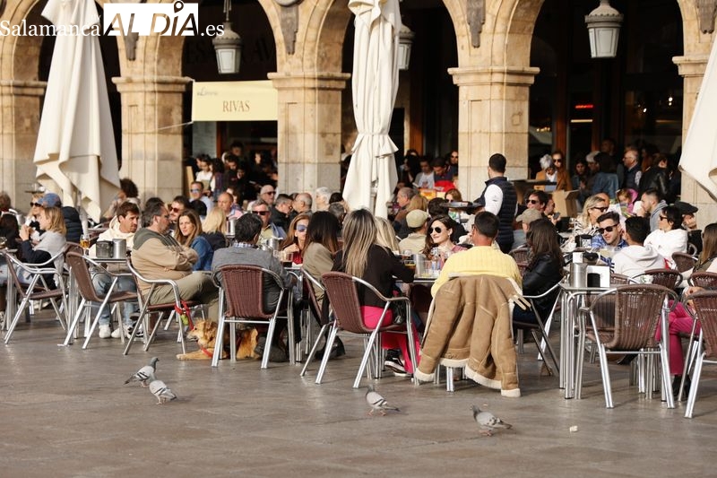 Entrega 2 monedas por hierbas aromáticas en una terraza y le roban la cartera con 600 euros