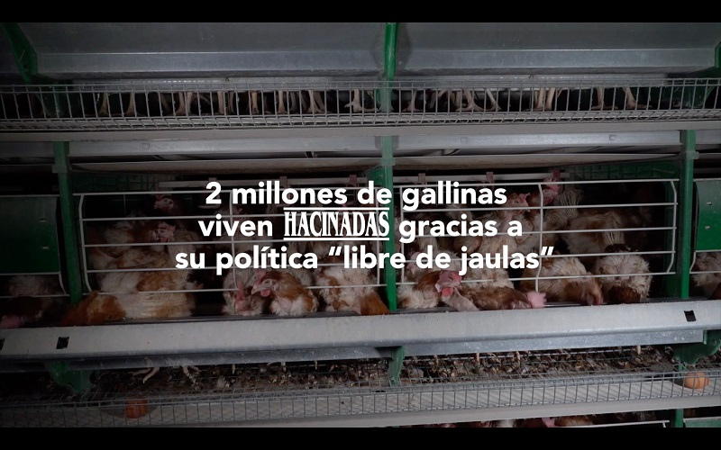 La ONG Equalia alerta de ‘Welfare Washing’ por parte de Mercadona