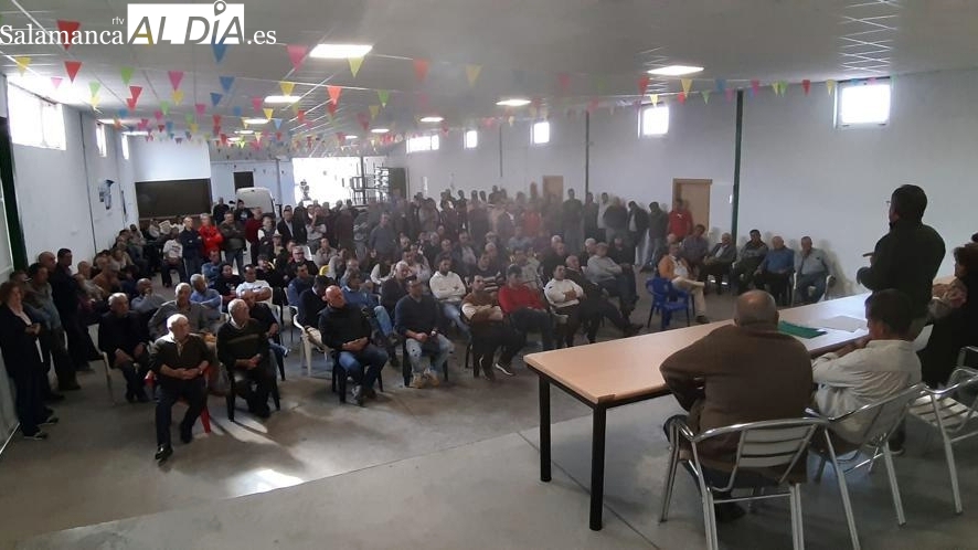 También los propietarios forestales se ponen en pie de guerra por las podas