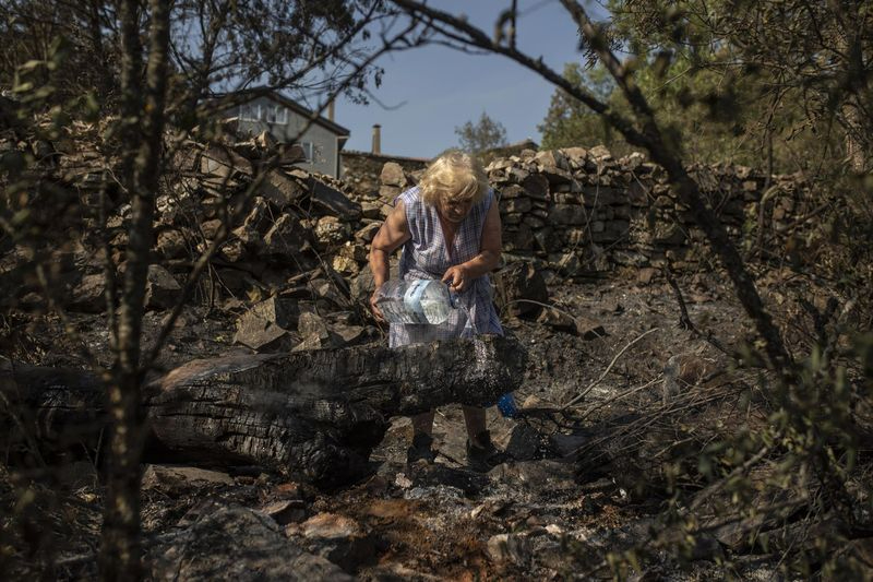 La Junta amplía la declaración de época de peligro medio de incendios forestales en la Comunidad hasta el jueves