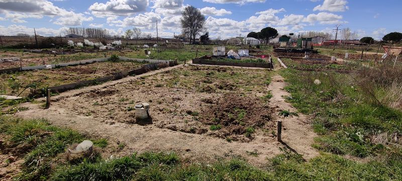 Abierta la convocatoria para la adjudicación de 16 huertos de ocio en Santa Marta