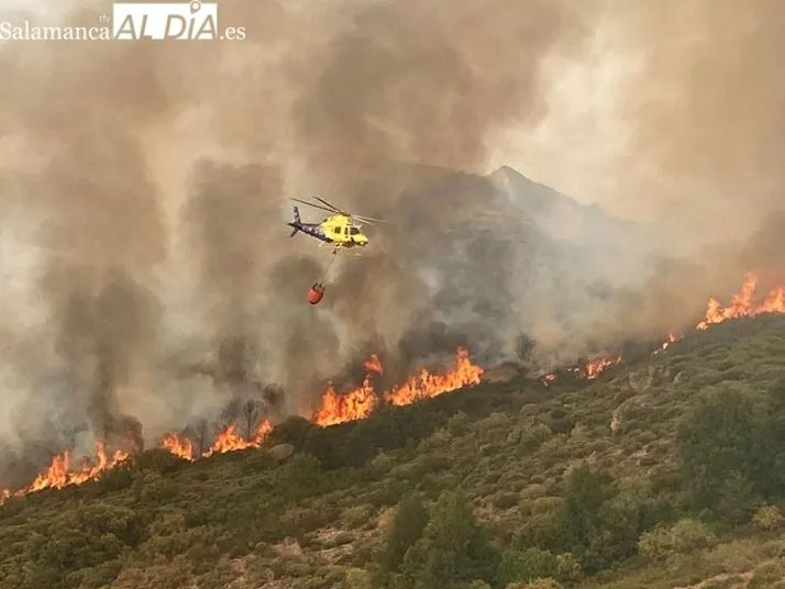 La Junta amplía la declaración de época de peligro medio de incendios forestales en Castilla y León