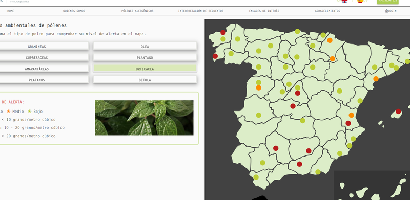 Mapa del polen: los lugares de Salamanca donde predomina un tipo u otro  