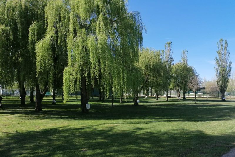 Trabajos de acondicionamiento para la temporada de piscinas municipales