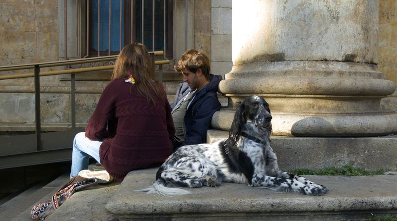 El guardián del Palacio 