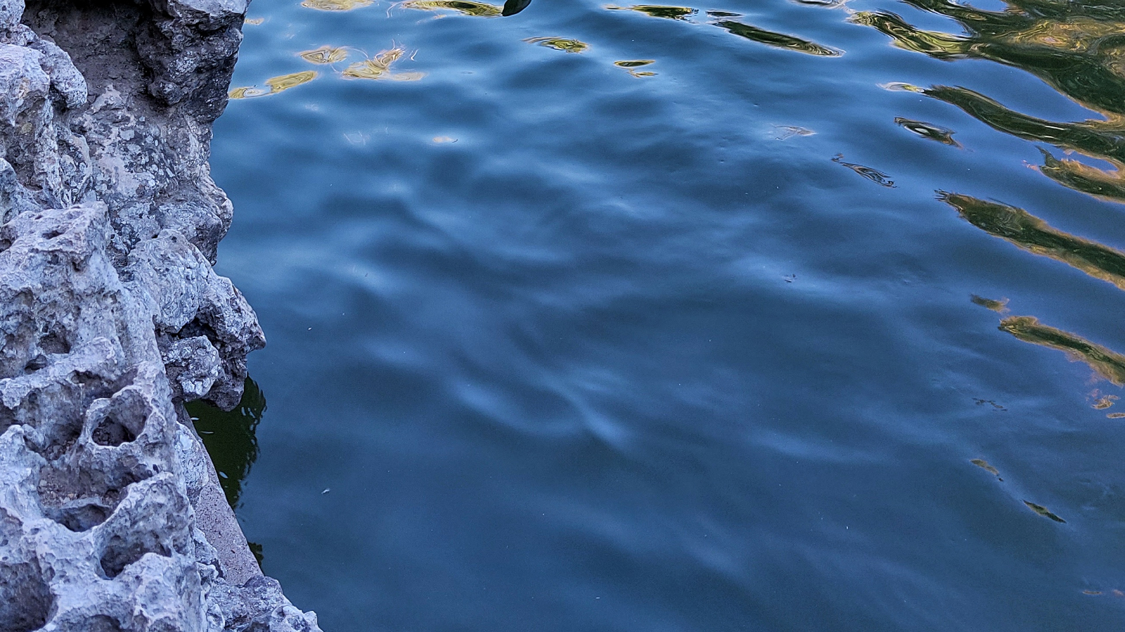 Leyendo a Clarice Lispector: Beber el habla 