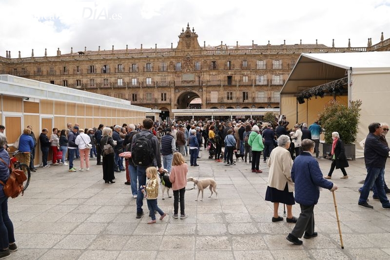 Cultura y turismo llenan el centro de Salamanca