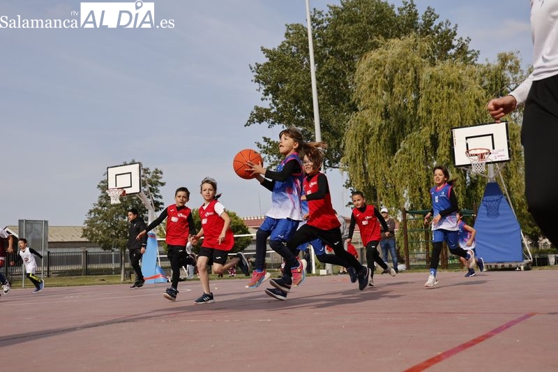 Cientos de niños disfrutan con el Día del Minibasket