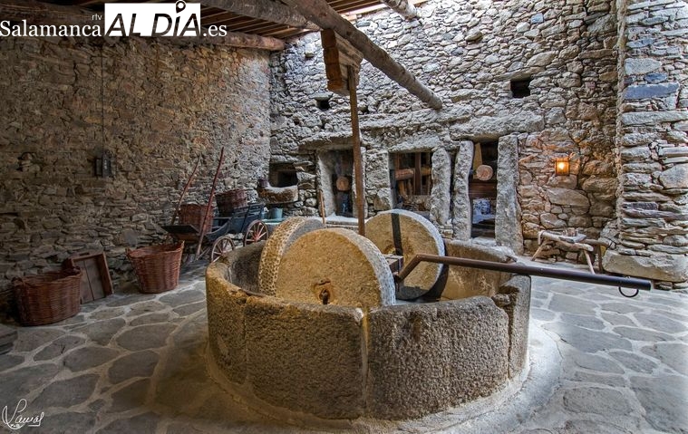 El lagar del Mudo, el Museo del Aceite a una hora de Salamanca que merece la pena conocer 