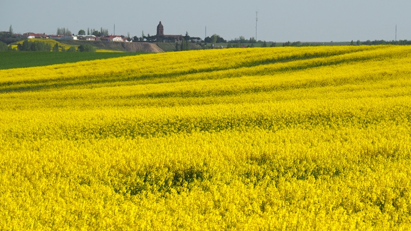 Conquista cromática 