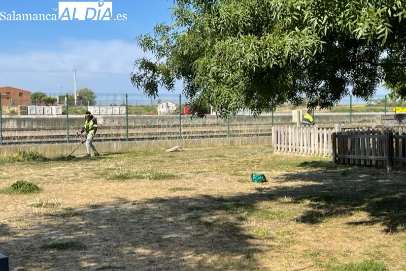 Desbrozado y desinfectado el pipicán