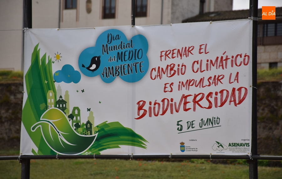 Ciudad Rodrigo conmemorará durante el fin de semana el Día Mundial del Medio Ambiente