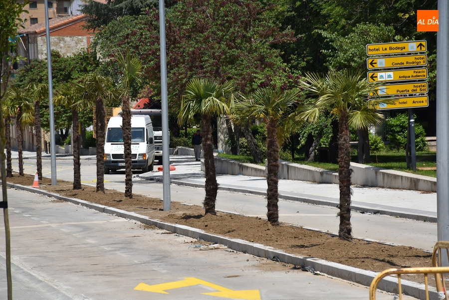 El tramo superior de la Avenida de España da la bienvenida a sus palmeras
