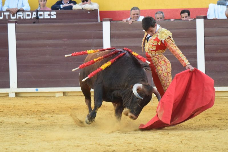 Ismael Martín, finalista del Circuito de Novilladas de Andalucía... y toreará en La Maestranza