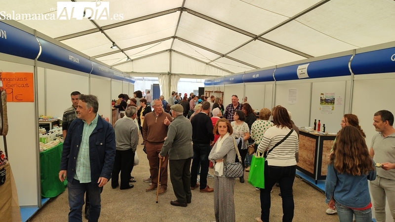 La Feria del Aceite y el Olivar de Vilvestre profundiza en el uso del aceite en la gastronomía 