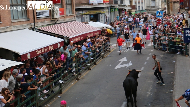 Vitigudino ya tiene al completo el programa de las fiestas del Corpus
