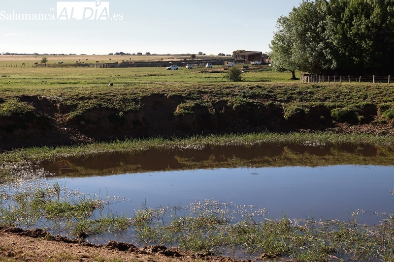 La sequía y la tuberculosis asfixian a los agricultores y ganaderos salmantinos