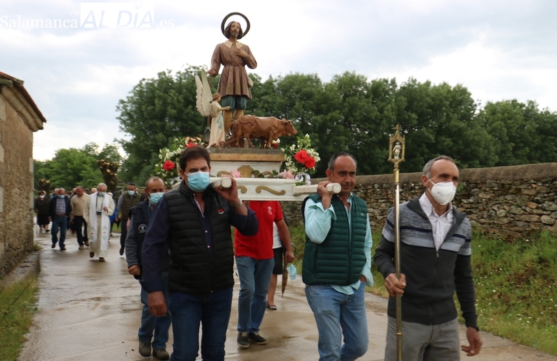 Vacas de Galache para la capea nocturna de San Juan en Bogajo