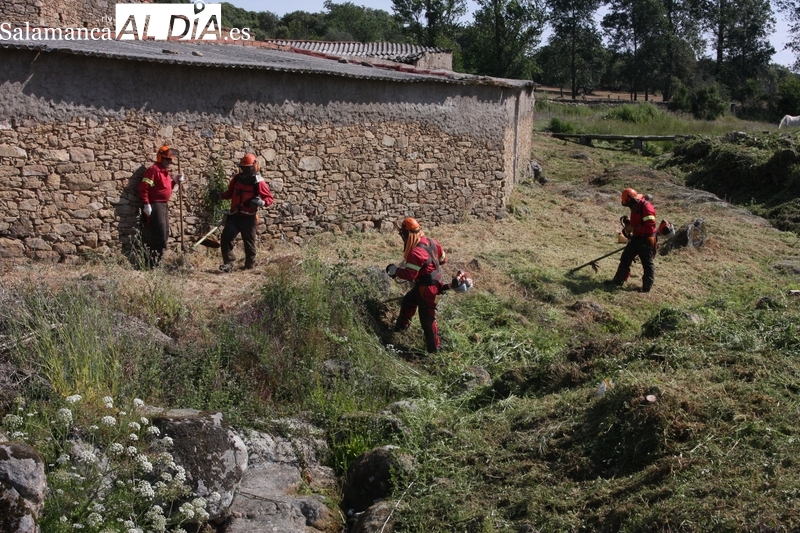 El Ayuntamiento de Yecla de Yeltes procede a la limpieza arbustiva del regato de Gema