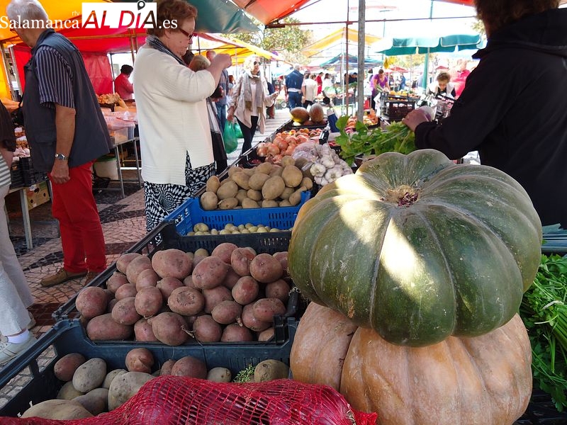 En Portugal ya rige el IVA cero en la cesta básica de la compra